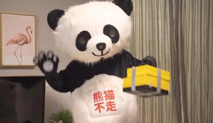 佛山律师事务所：甜蜜背后的苦涩，网红熊猫不走的倒闭